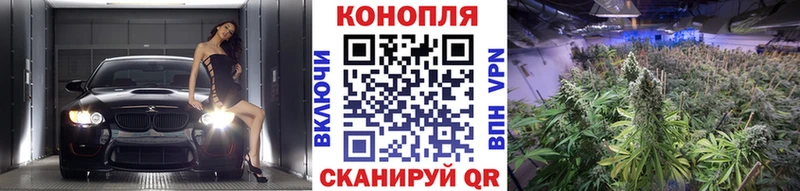 Бошки марихуана конопля  даркнет сайт  Магнитогорск 